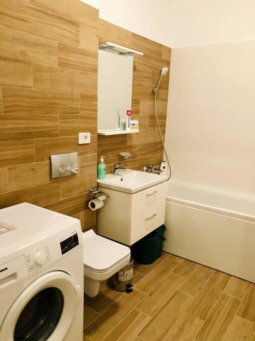 Joy City Stay Vivalia V6B-64 Temeşvar Dış mekan fotoğraf