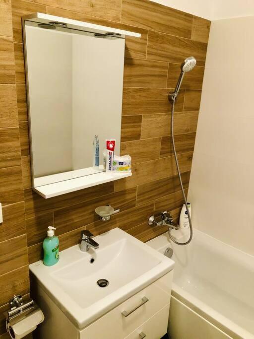 Joy City Stay Vivalia V6B-64 Temeşvar Dış mekan fotoğraf